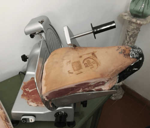Bence T.
